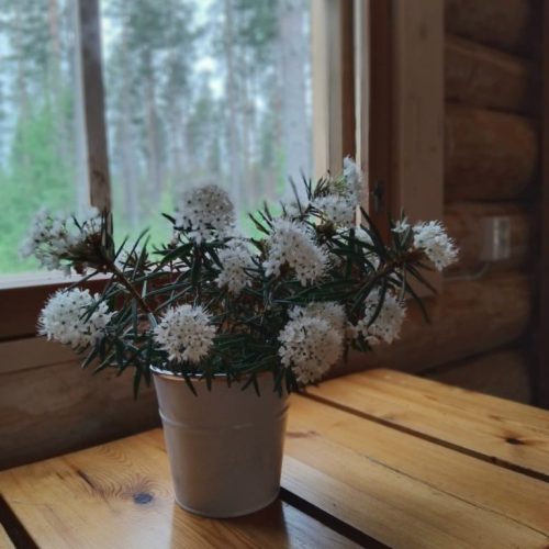 WhatsApp Image 2025-07-05 at 21.50.02a